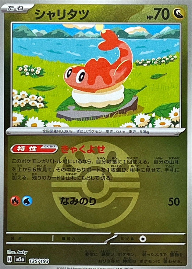 シャリタツ【135/193】