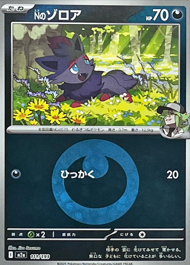 Nのゾロア