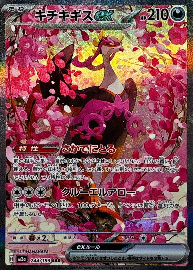 キチキギスex