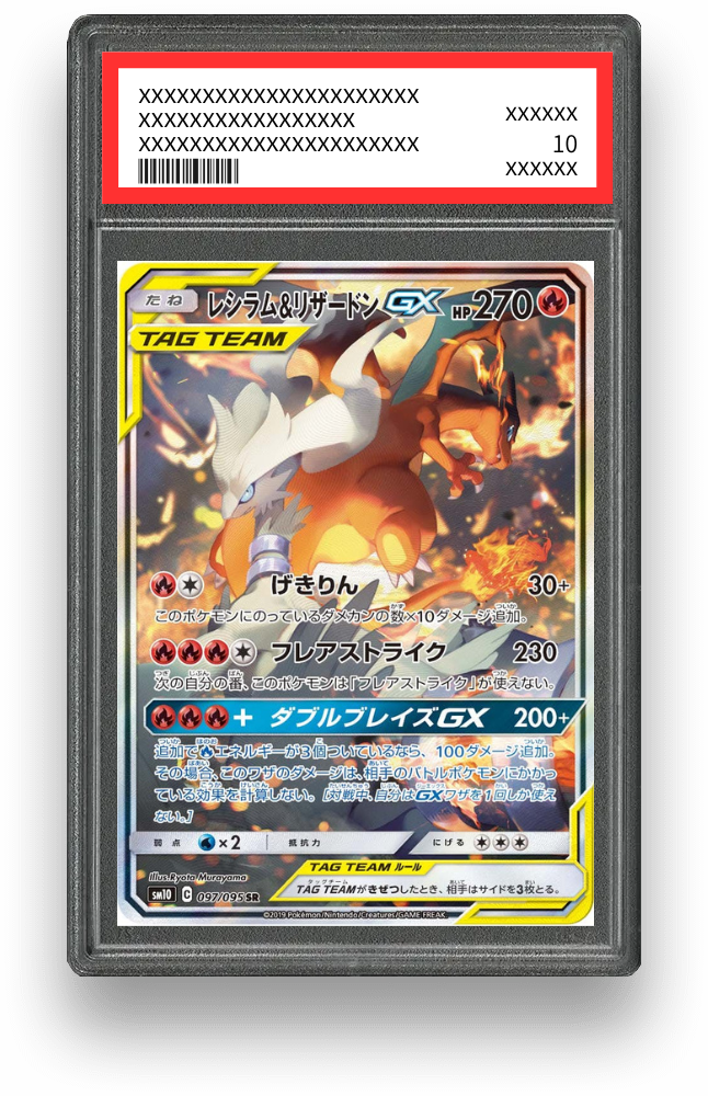 レシラム&リザードンGX SR(SA)のPSA10イメージ画像