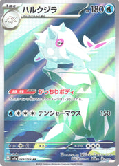 ハルクジラAR