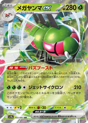 メガヤンマRR 003/063