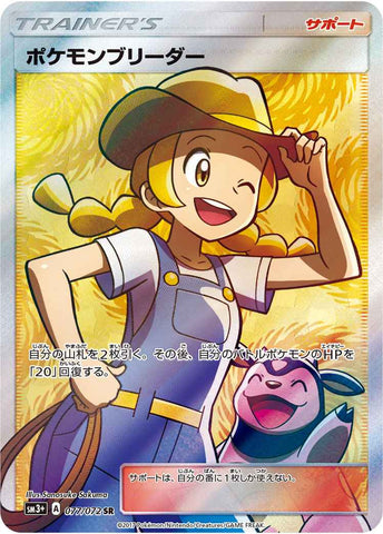 ポケモンブリーダーSR SM3+