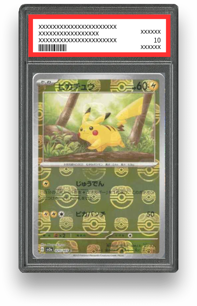 ピカチュウのPSA10イメージ画像