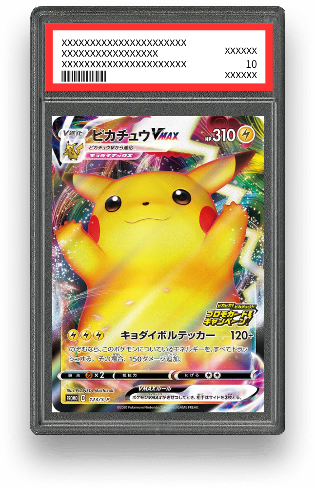 ピカチュウVMAX【123/S-P】のPSA10イメージ画像
