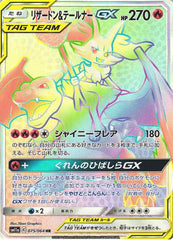リザードン&テールナーGX HR