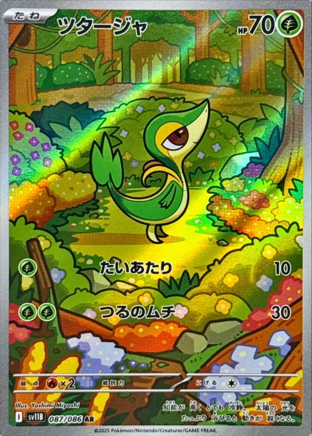 ツタージャ AR