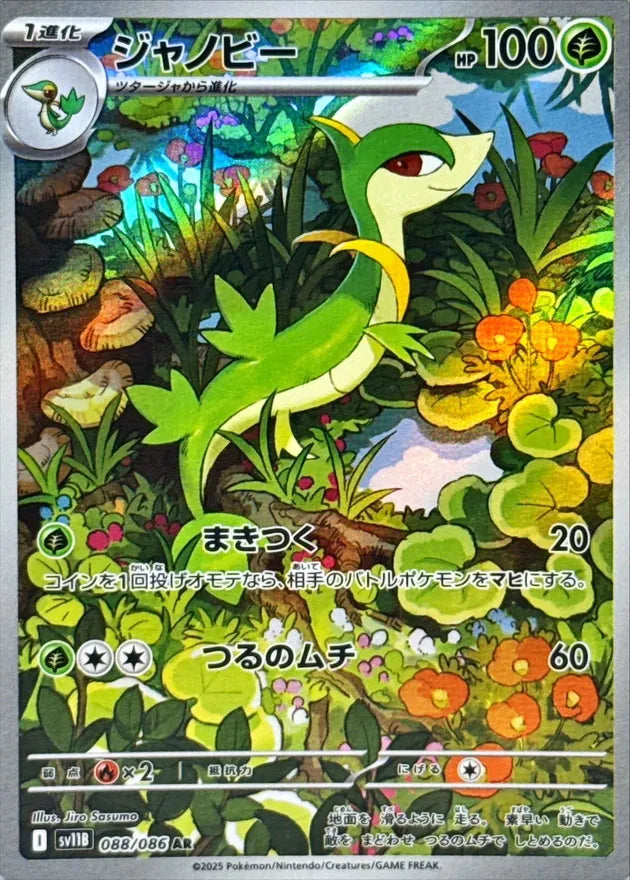 ジャノビー AR