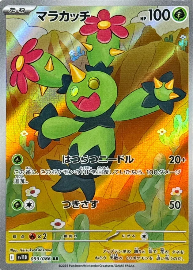 マラカッチ AR