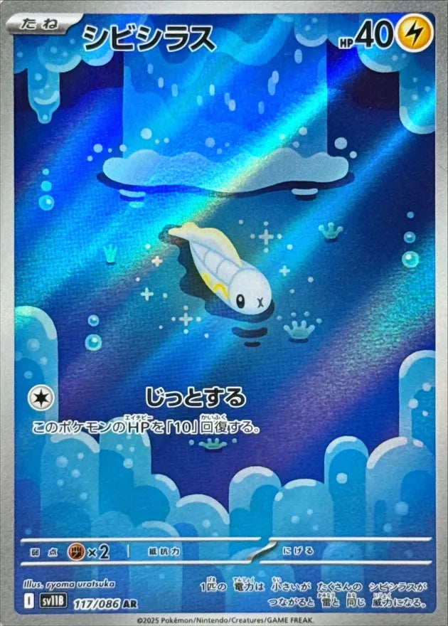 シビシラス AR