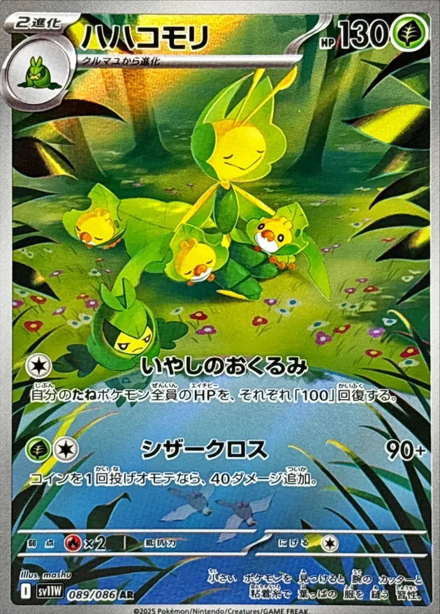 ハハコモリ AR