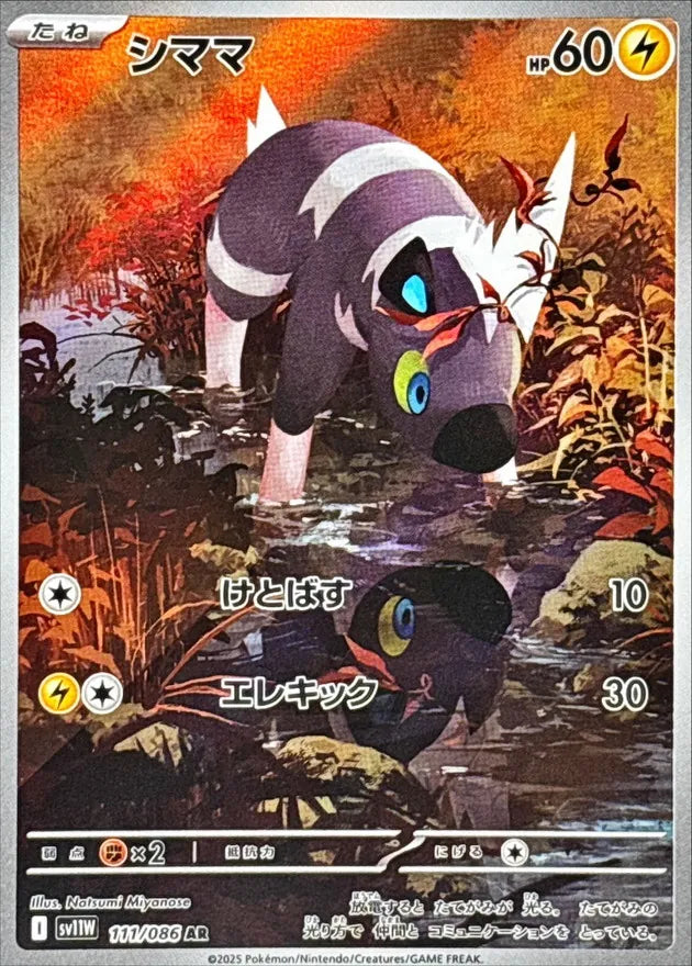 シママ AR
