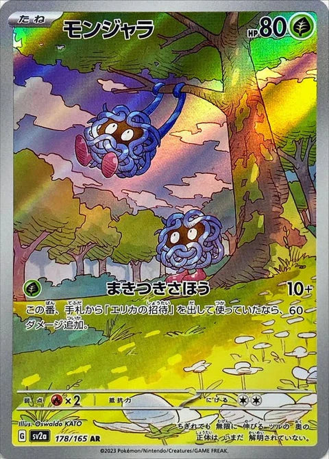モンジャラ AR【178/165】