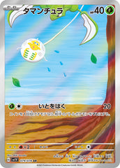 079/078 タマンチュラAR